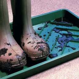 Boot Tray - thumbnail 3