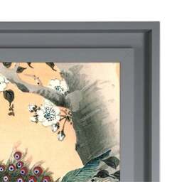 The Art Group Peacock Framed Print - thumbnail 3