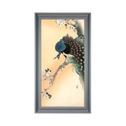 The Art Group Peacock Framed Print - thumbnail 2