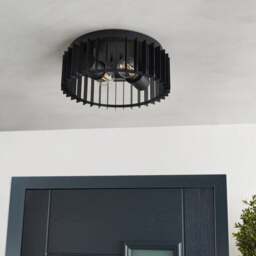 Reno Industrial Outdoor 2 Light Flush Ceiling Light - thumbnail 1