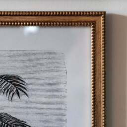 Cedar and Sage Set of 2 Palm Drawing Framed Prints - thumbnail 2