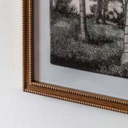 Cedar and Sage Set of 2 Palm Drawing Framed Prints - thumbnail 3