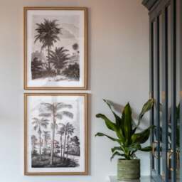 Cedar and Sage Set of 2 Palm Drawing Framed Prints - thumbnail 1