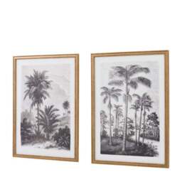 Cedar and Sage Set of 2 Palm Drawing Framed Prints - thumbnail 5