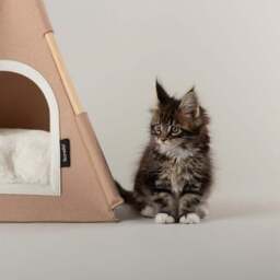Scruffs Stockholm Felt Teepee Cat Bed - thumbnail 5