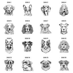 Personalised Dog Breed Cushion - thumbnail 2