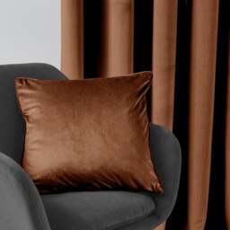 Luxe Velour Cushion - thumbnail 1