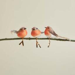 Pack of 3 DIY Robin Decorations - thumbnail 3