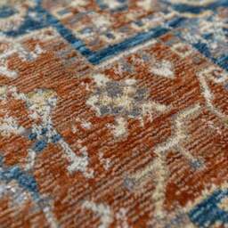 Liora Traditional Rug - thumbnail 2
