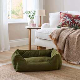 Velvet Box Dog Bed - thumbnail 3