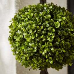 Set of 2 Artificial Boxwood Ball Trees in Woven Plant Pots - thumbnail 3