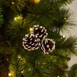 Pack of 3 Pinecones with White Tips - thumbnail 1
