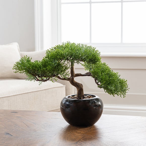 Artificial Bonsai Tree in Black Pot by Dunelm | uFurnish.com