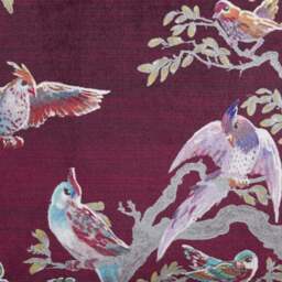 Birdity Absurdity Cushion 43cm x 43cm - thumbnail 3