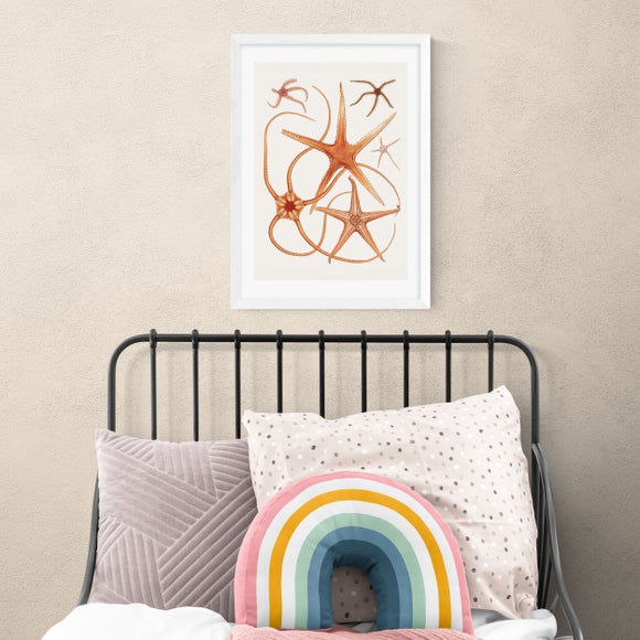 East End Prints Vintage Starfish 2 Print - image 1