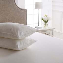 Dorma Pack of 2 Satin Touch Side Sleeper Pillows - thumbnail 2