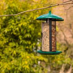 Fallen Fruits High Volume Combi Feeder - thumbnail 1