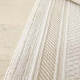 Concept Looms Olivia Velvet Border Rug - thumbnail 6