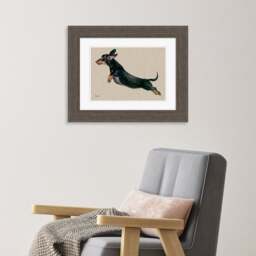 The Art Group Freddy Framed Print - thumbnail 1