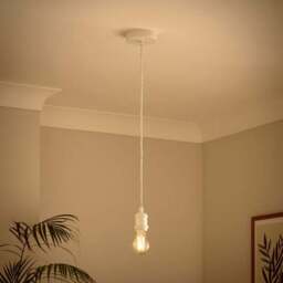 Charlie Industrial Adjustable Pendant Flex Ceiling Light Cable - thumbnail 2
