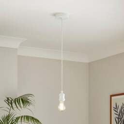 Charlie Industrial Adjustable Pendant Flex Ceiling Light Cable - thumbnail 1