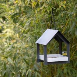 Fallen Fruits Metal Hanging Bird Table - thumbnail 1