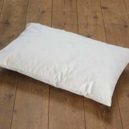 Duck Feather Cushion Pad - thumbnail 1