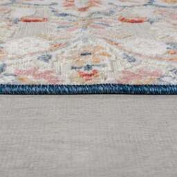 Mabel Traditional Indoor Outdoor Rug - thumbnail 4