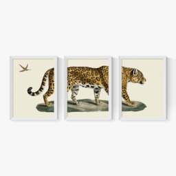 East End Prints Set of 3 Jaguar Prints - thumbnail 2