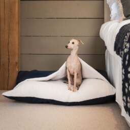 Lords and Labradors Rhino Leather Sleepy Burrow Dog Bed - thumbnail 1