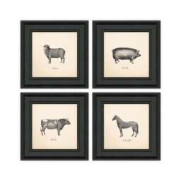 Set of 4 Down By The Farm Framed Prints - thumbnail 2
