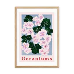 East End Prints Geraniums Print - thumbnail 2