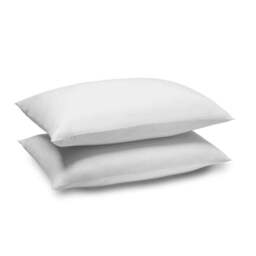 Pure Cotton Kingsize Pillowcase Pair - thumbnail 6
