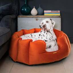 Lords and Labradors Velvet High Wall Dog Bed - thumbnail 1