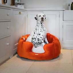 Lords and Labradors Velvet High Wall Dog Bed - thumbnail 2