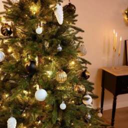 Charles Bentley 6ft Faux Pre-lit Christmas Tree - thumbnail 2