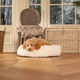 Lords and Labradors Boucle Donut Dog Bed - thumbnail 2