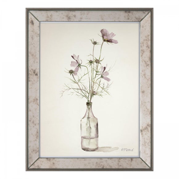Cedar & Sage Cosmos Framed Print