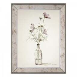 Cedar & Sage Cosmos Framed Print