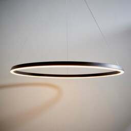 Vogue Wheeler Integrated LED Hoop Ceiling Light