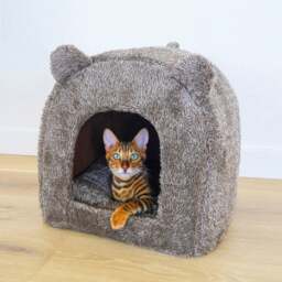 Rosewood Brown Bear Cat Bed - thumbnail 1