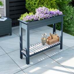Galaxy Planter and Tray