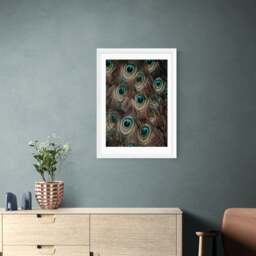 East End Prints Peacock Feathers Print