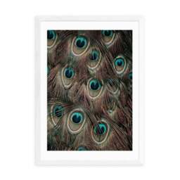 East End Prints Peacock Feathers Print - thumbnail 2
