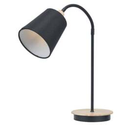Pacific Lifestyle Juna Industrial Adjustable Table Lamp - thumbnail 6
