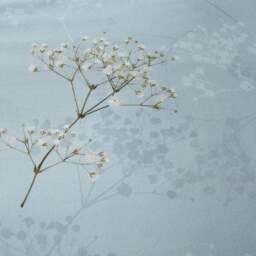 Dorma Gypsophilia Blackout Pencil Pleat Curtains - thumbnail 3