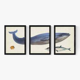 East End Prints Set of 3 Whale Prints - thumbnail 2