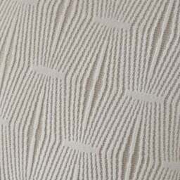Hendrix Velvet Cushion - thumbnail 3