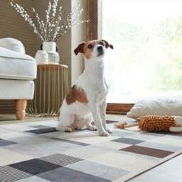 Regalis Geometric Washable Rug - thumbnail 6