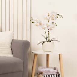 Artificial White Phalaenopsis Orchid in Beige Ceramic Plant Pot - thumbnail 1